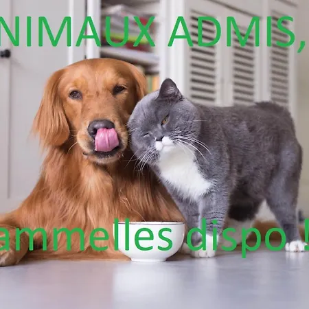 Au Canal Du Midi - Au Coeur De La * Carcassonne