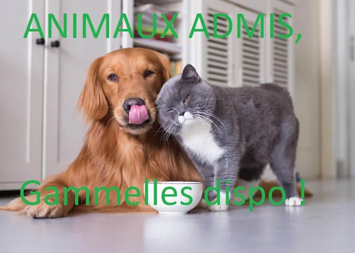 Au Canal Du Midi - Au Coeur De La * Carcassonne