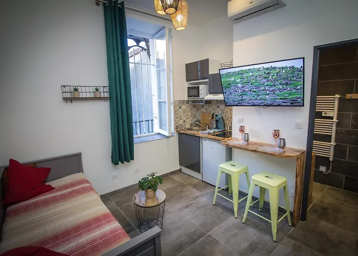 Au Canal Du Midi - Au Coeur De La Carcassonne